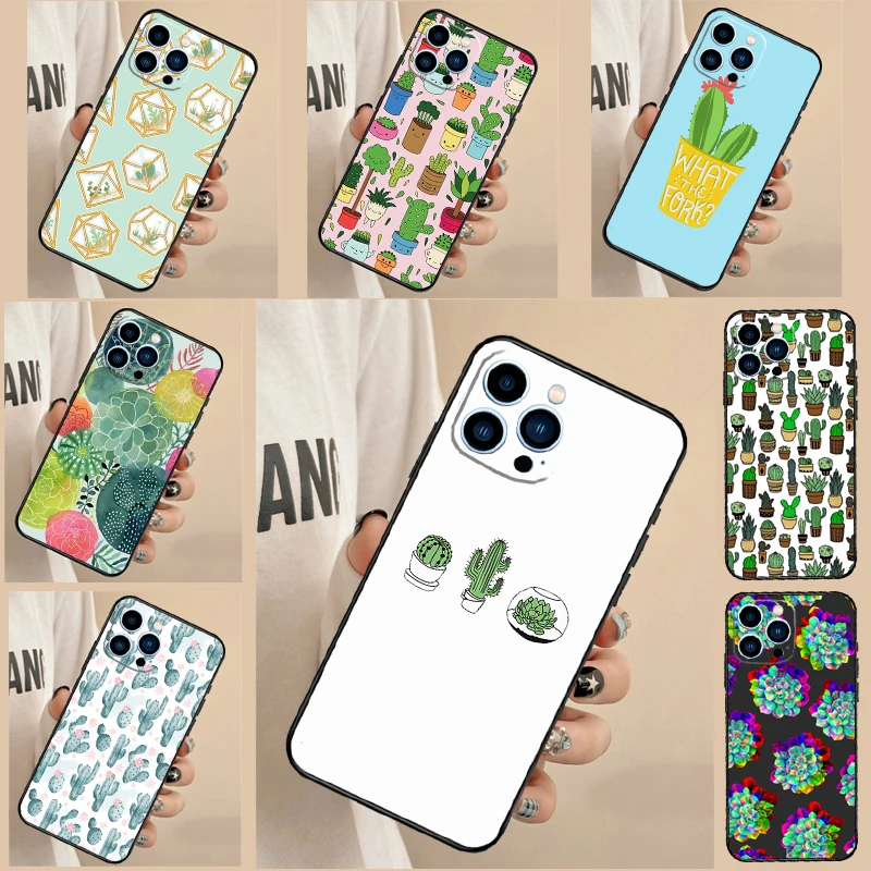 Cactus Succulent Fo… - image