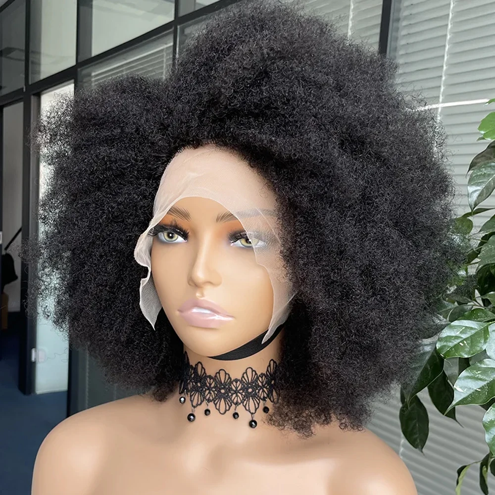 Afro Wigs for Black Women Kinky Curly Lace Front Wig Afro Short Bob Human Hair Wig 13x4x2 HD Lace Natural Hairline Glueless 250%