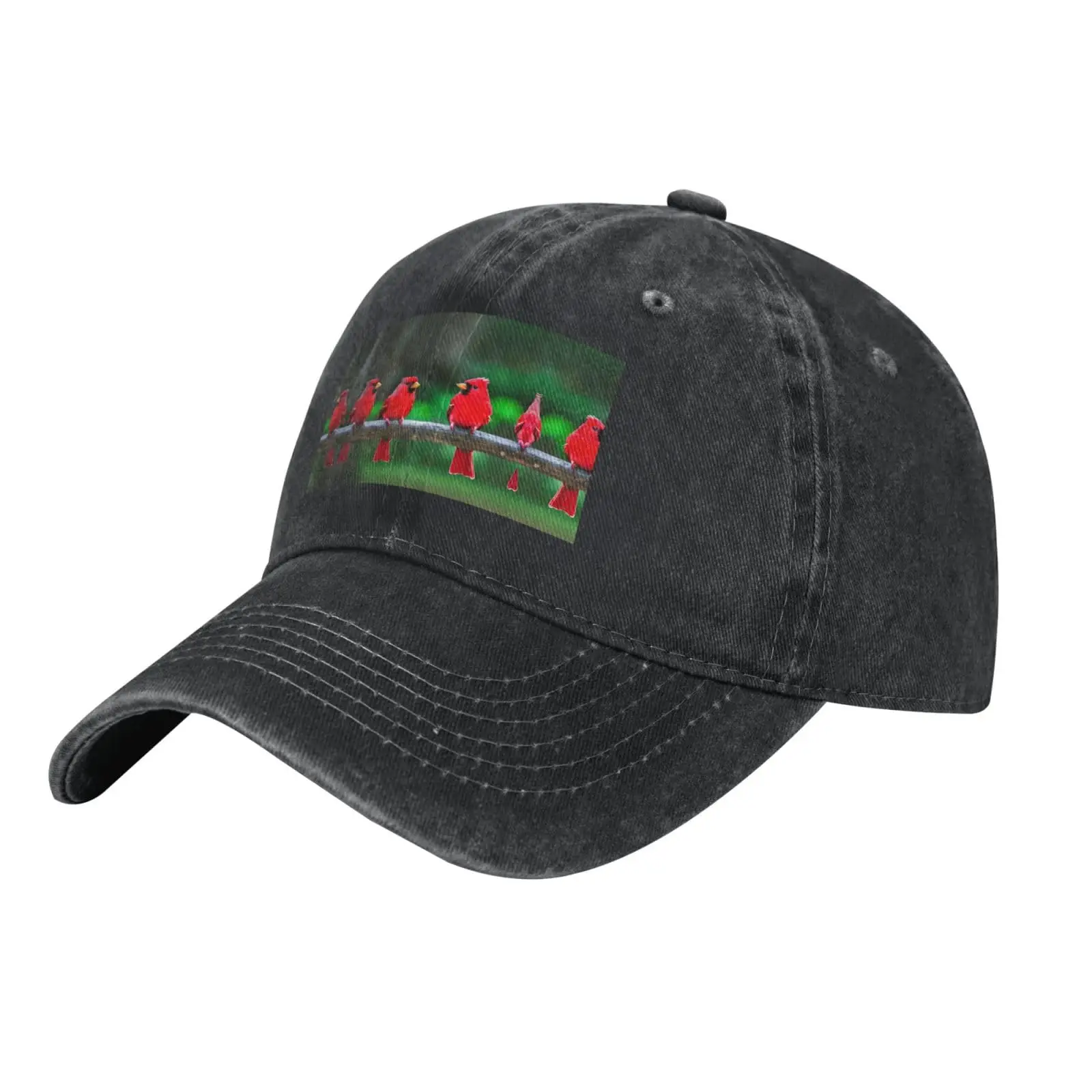 

Black Casquette Baseball Cap a€“ Red cute birds Running, Tennis, Golf, Dad Hat a Seasons & Outdoor Travel.