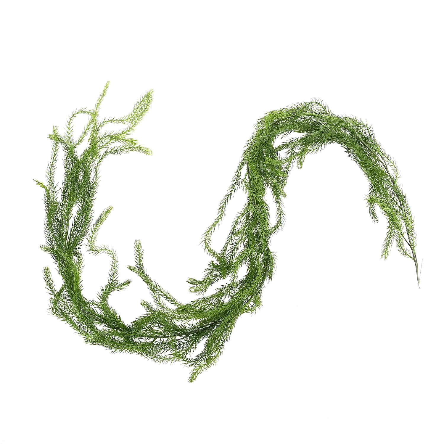 Planta de helecho de vid de ce - Preserved Moss Sheet reseña y precio