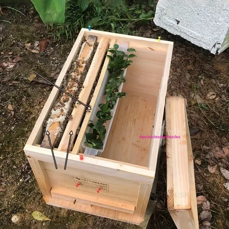 Wooden Beehive Automatic Bees Box Nest Beekeeping Equipment Beekeeper Tool for Honey Collection High Quality Bee Hives R