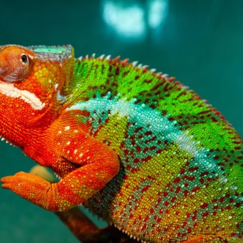 

MJX 14301 14302 Металлический рычаг подвески Рулевая чашка Тяга рулевого управления в сборе Набор аксессуаров 1/14 Комплект деталей для обновления радиоуправляемого автомобиля