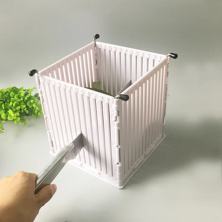 Fresh Fruit Salad Cutter Bowl Fruit Salad Square Cut Bowl Two Generation