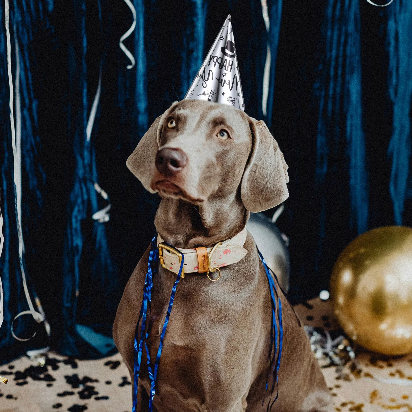 

30pcs New Year Hats 2025 Happy New Year Eve Cone Hat Assorted Colors For Kids Adults Party Favors Photo Props Novelty Party Hat