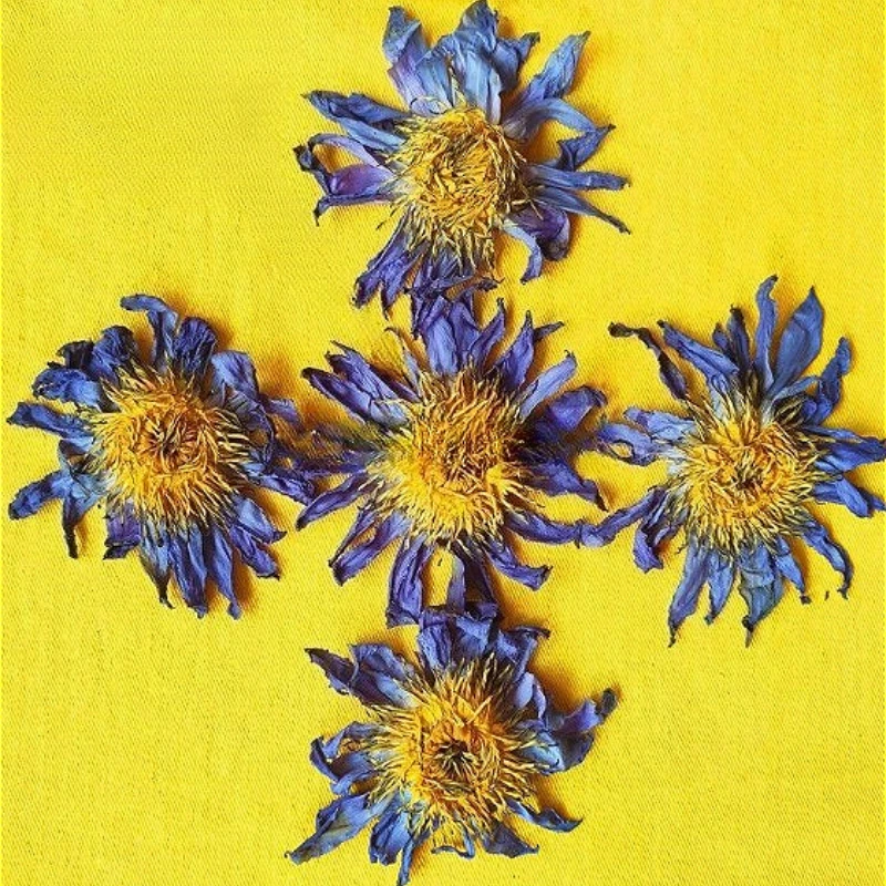 Новый 100% натуральный цветок лотоса, ароматные сушеные цветы, отбеливание для ванны, красота, мыло, свечи, декор, домашний аромат для комнаты