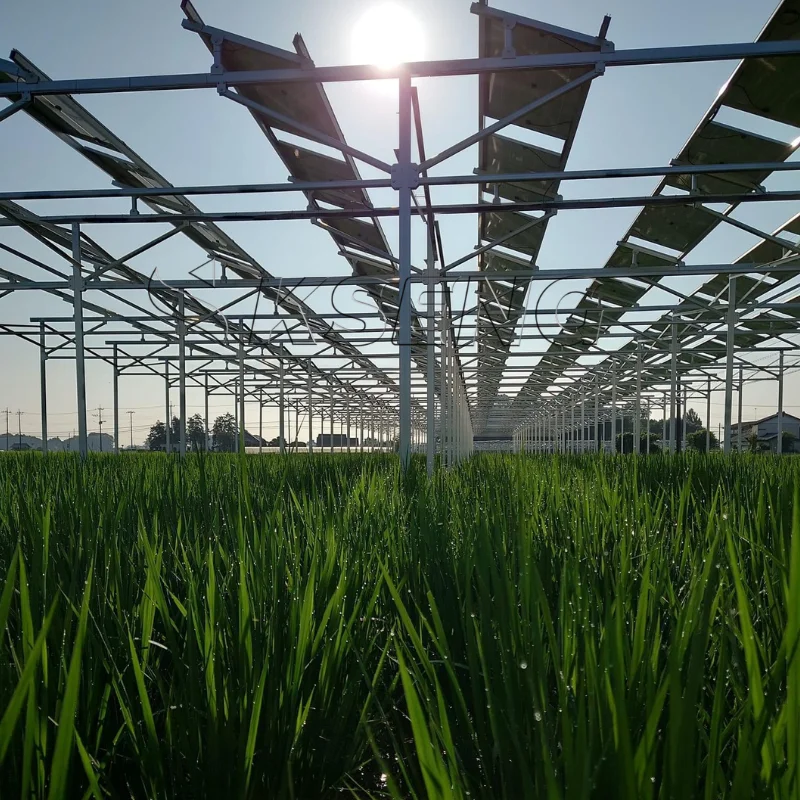 1MW High Quality Aluminum Stainless Steel Agriculture Solar Panel Brackets Mounting System ISO9001/CE Certification 60m/s Wind