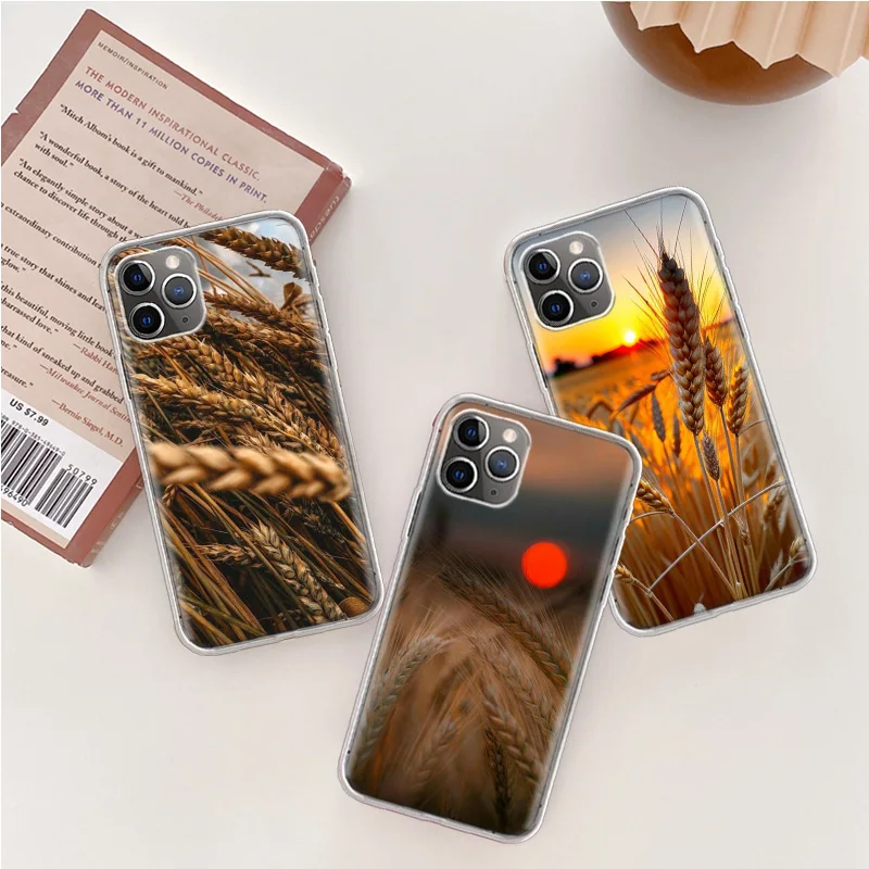 Mature Wheat Grains Phone Case For Iphone 14 13 15 16 Pro Max Plus Apple 11 12 Mini X XS Max XR Clear Cover Shell Coque Silicone