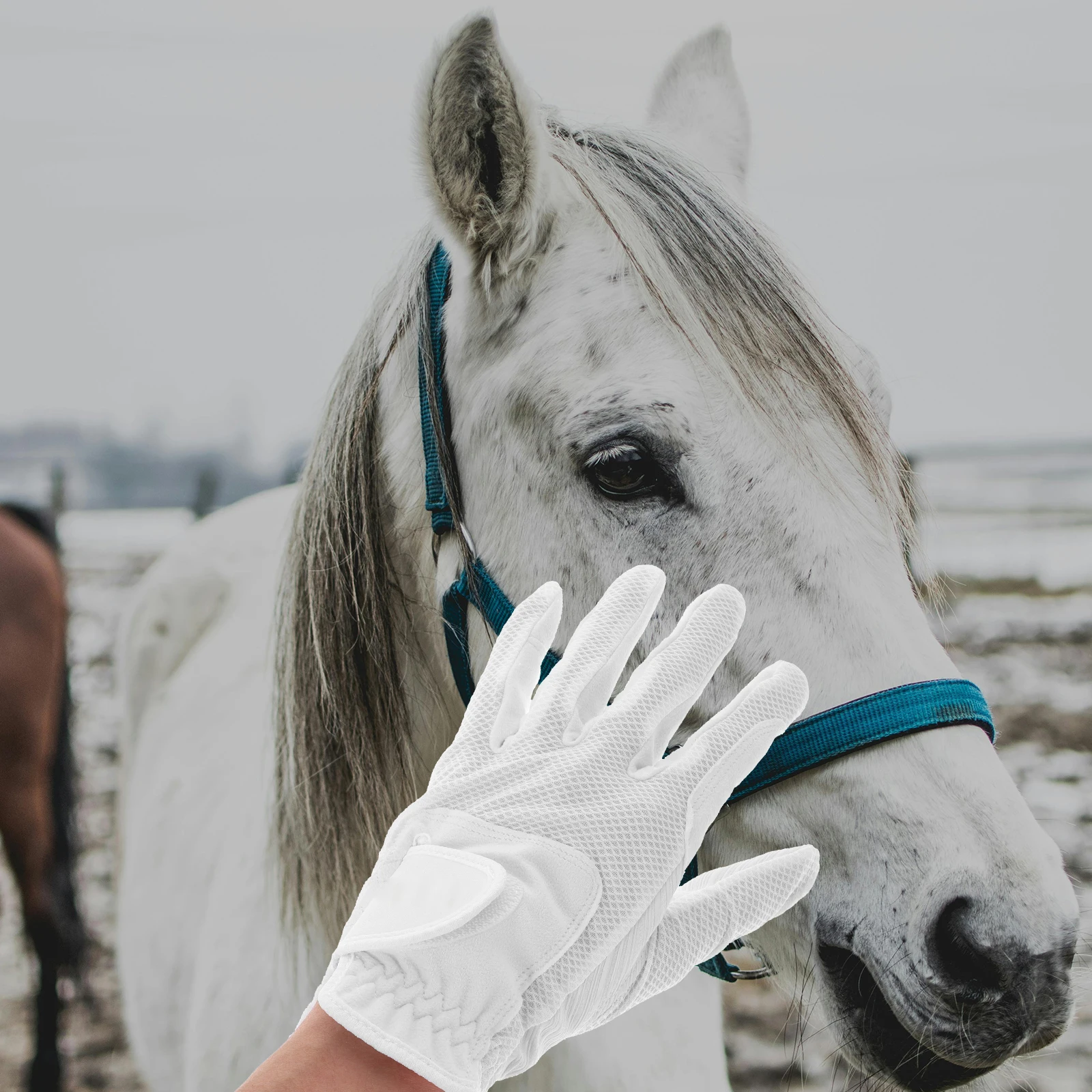 

2pcs Equestrian Horse Gloves Non-Slip Durable Lightweight Outdoor Gear For Practical Design Comfortable Riding Gloves