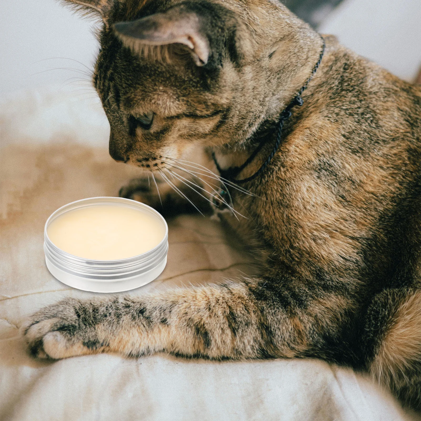 

Lightweight Portable Dog Paw Balm Natural Protective Cream Pet Foot Moisturizer for Cats Dogs Daily Use Paw Cream