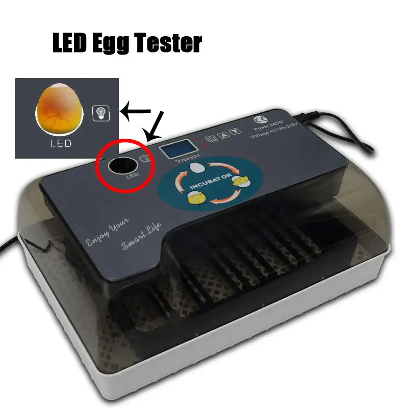 Imagem -03 - Hhd 12 Incubadora Totalmente Automático 35 Ovos de Codorna Digital Aves Máquina de Incubação com Auto Ovo Turn & Temp Controle & Led Candler