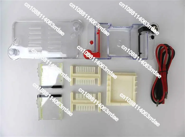 Electrophoresis Tank Biological Instrument Molecular Separation Teaching Instrument