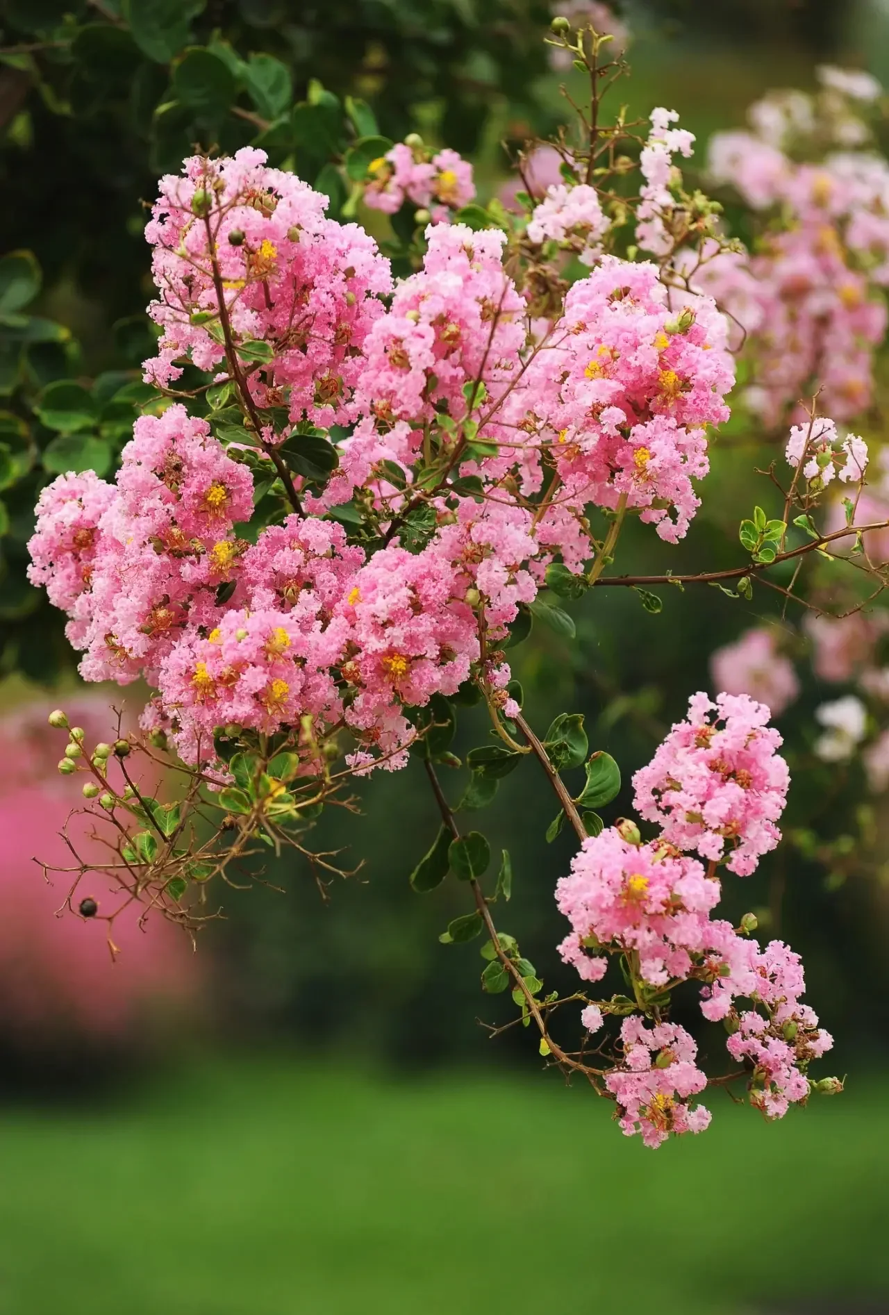 

R12 Stainless Steel Smart Ring With Color Screen Smart Touch 5ATM IP68 Waterproof Fitness Heart Rate Blood Oxygen Finger Ring