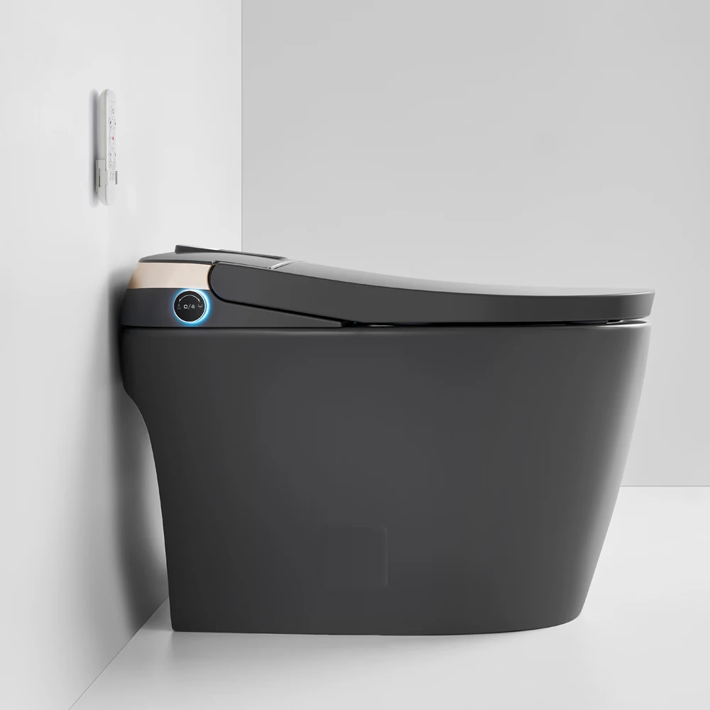 Gray Factory Direct Sales Oem Odm Intelligent Bathroom Smart Toilet with Build-in Water tank