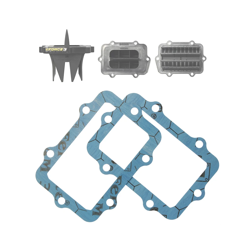 2PCS/1PCS Joint G3122 Remplacement Reed Valve Vforce V3127R-873A-2 V3112-873A-2 Pour 600 E-TEC Et 00-SDI