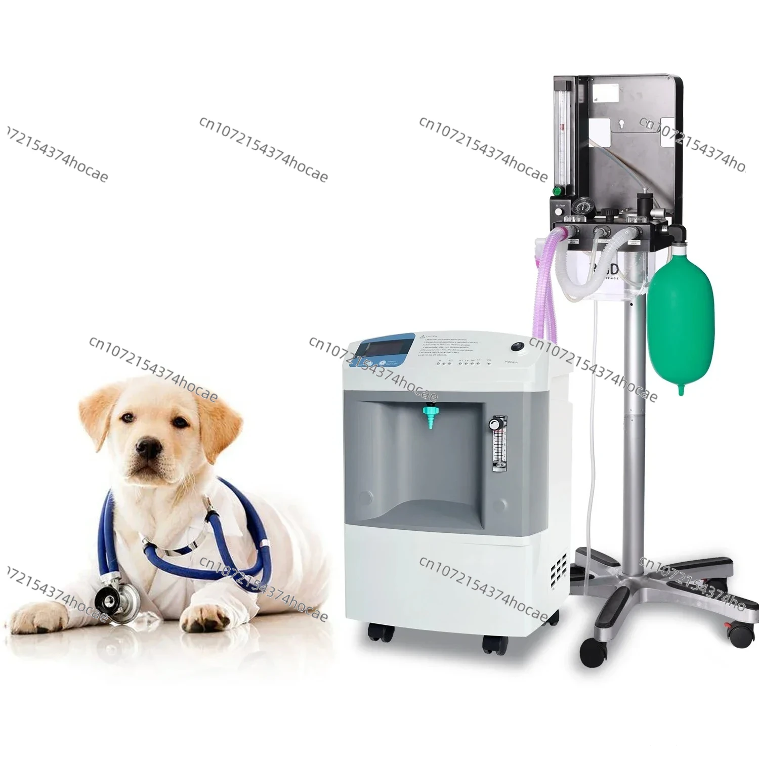 Hospital equipment veterinary pet 10 liter oxygen concentrator for surgical therapy