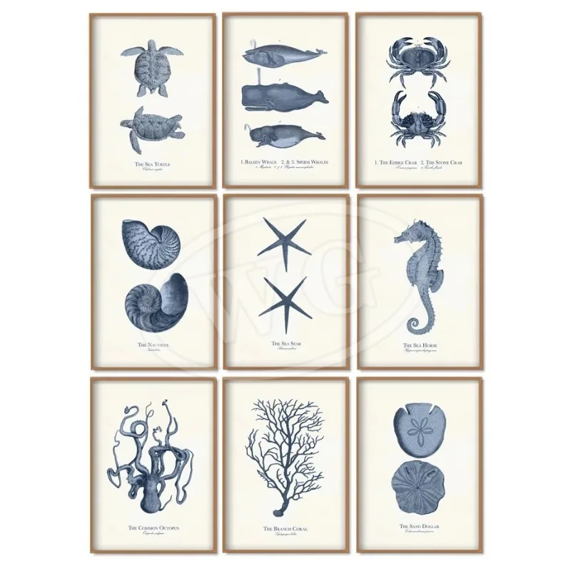 Sketch Fossil Fish Turtle Snail Star Tree Vintage Wall Art Mural Canvas Painting Nordic Posters Wall Pictures Kawaii Home Deco - Image 3