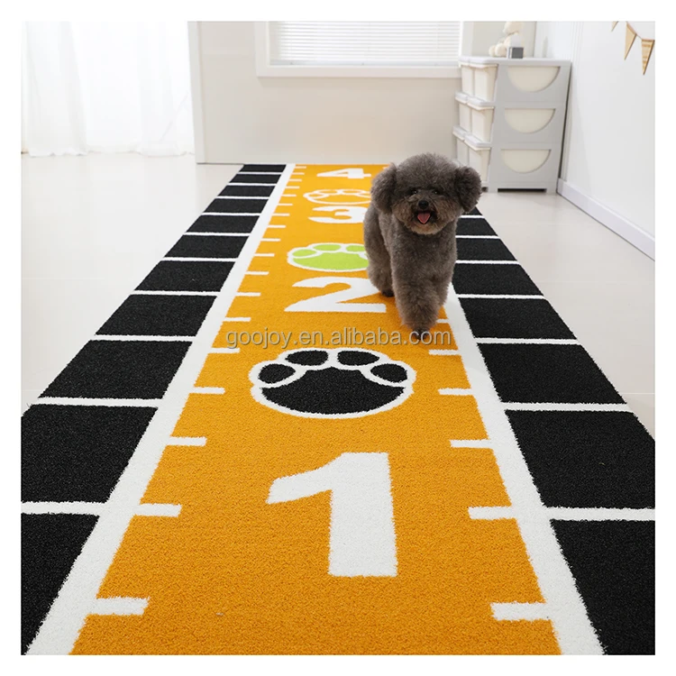 

Factory Multi Size Luxury Dropshipping Portable Friendly Indoor Outdoor Pet Dog Mat
