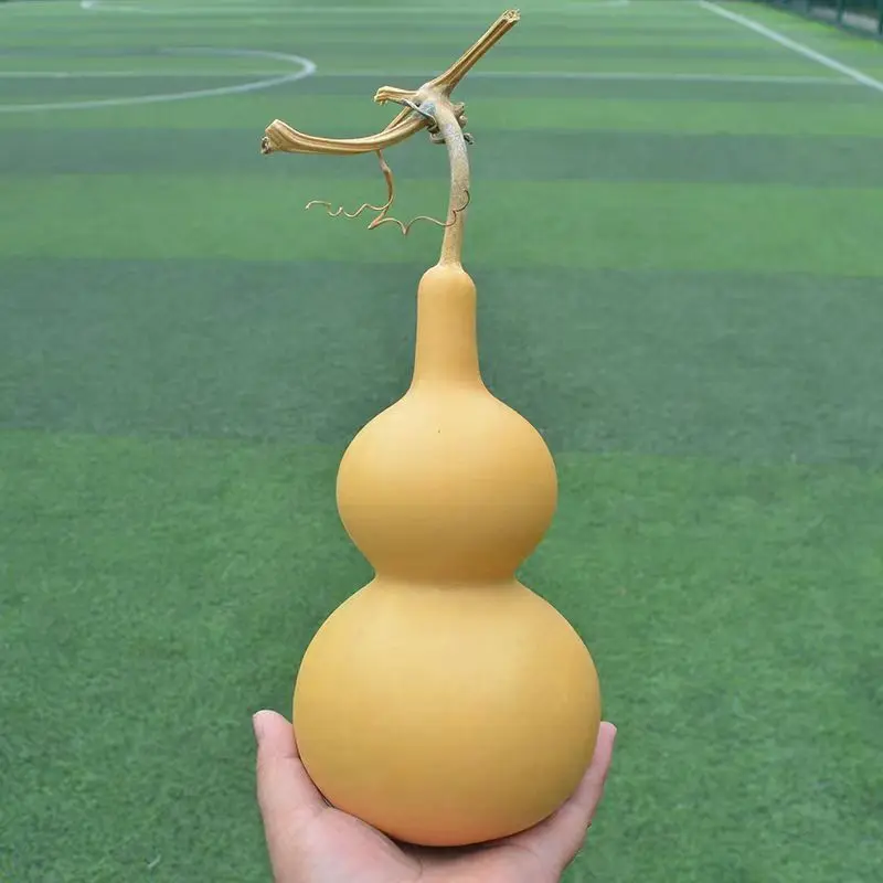 

Натуральная тыква различных размеров: украшение для гостиной, приносящее удачу и богатство, фэн-шуй декор, голова дракона, защита дома