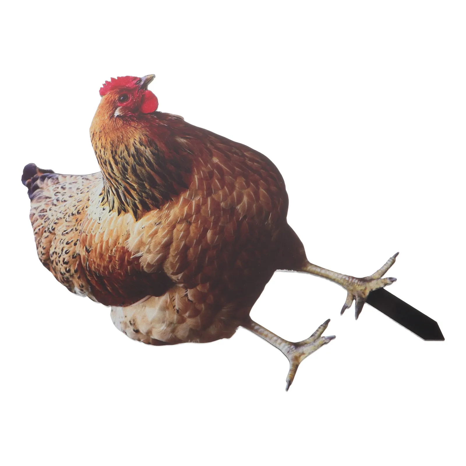 

Garden Decoration Chicken Stake Metal Animal Ornaments Resin Articles Waterproof Fade Resistant Outdoor Yard Porch Statue Garden