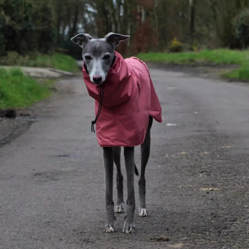 adjustable-dog-raincoats-greyhound-waterproof-outdoor-walking-jackets-comfortable-windproof-pet-coats-whippet-high-neck-clothes