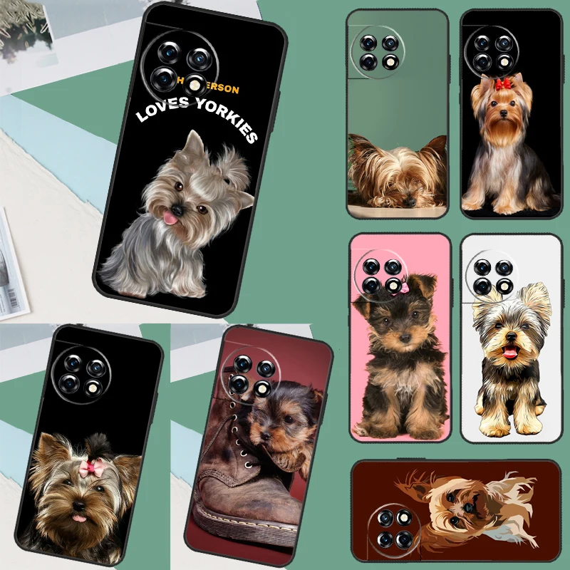 Yorkshire Terrier D… - image
