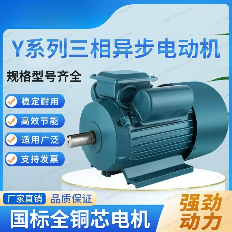 0.75KW to 3KW Single Phase Electric Motor - 220V AC Copper Wound, TEFC Design for Various Industrial Applications