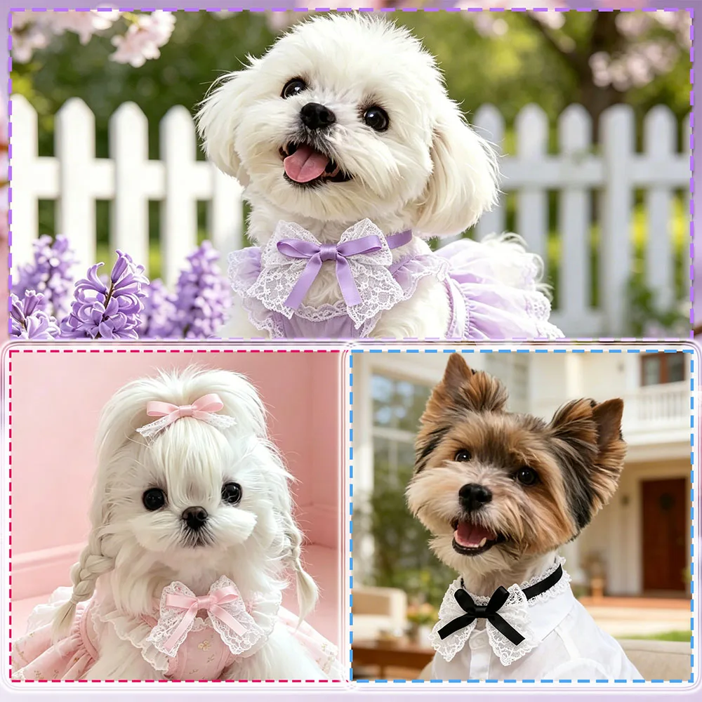 Thumbnail 3 - #22 Best Adjustable Pet Collars to Buy In 2026