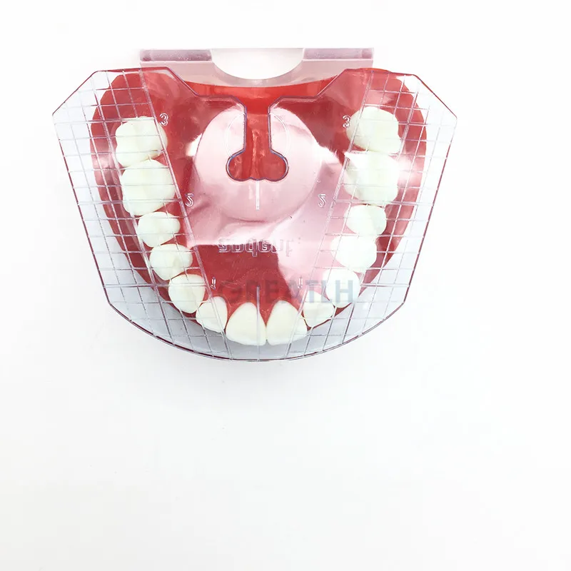 Piastra guida dentale disposizione dei denti su strumenti per protesi strumenti dentali strumento dentale 1 pz