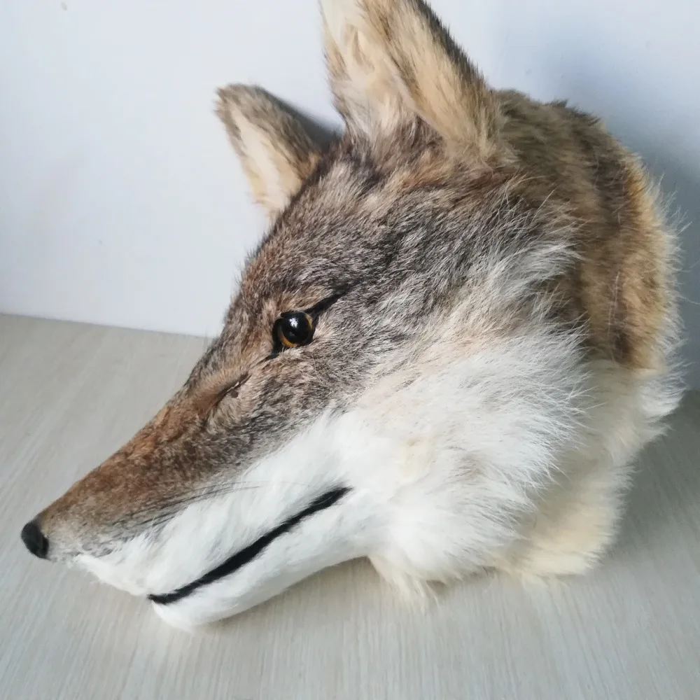 Nuevo modelo de cabeza de lobo de polietileno y pieles de la vida real, colgante de pared, accesorio artesanal de aproximadamente 30x25cm