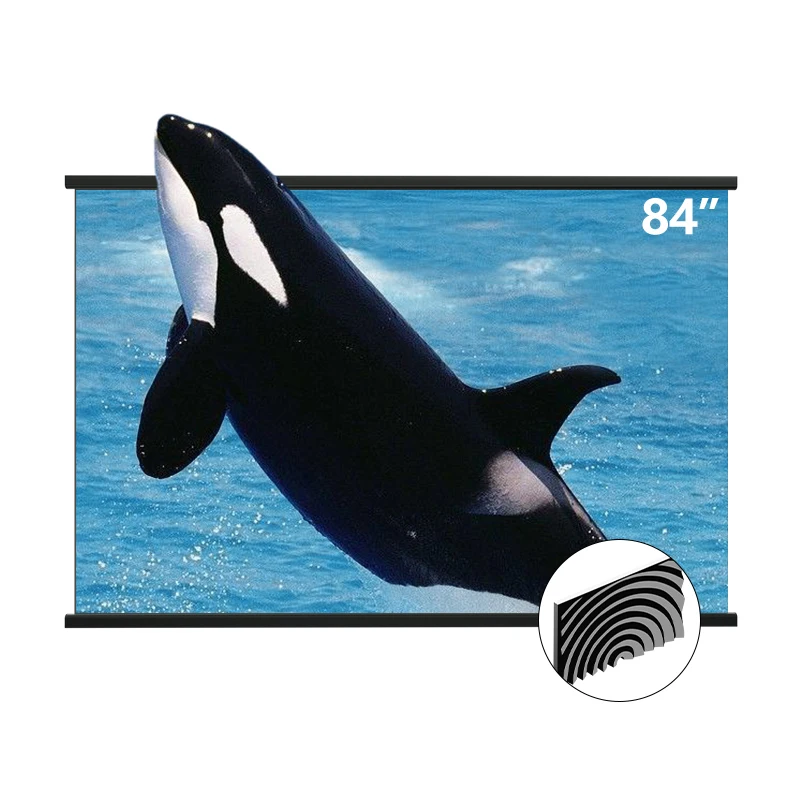 

Длинный 84 дюймовый настенный проекционный экран 16:9 более 95% ALR Fresnel Screen