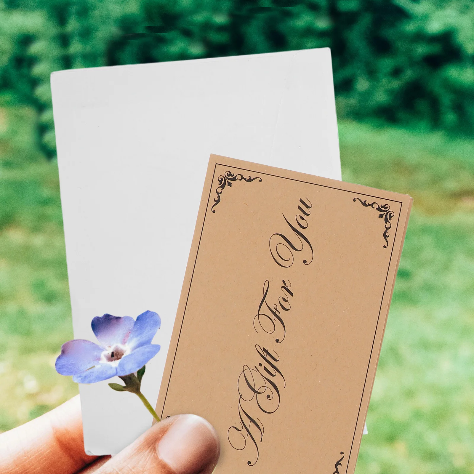 

25 комплектов пустых подарочных сертификатов для бизнеса, элегантных карточек из крафт-бумаги, идеально подходящих для свадьбы, дня рождения, праздников, подарков для клиентов