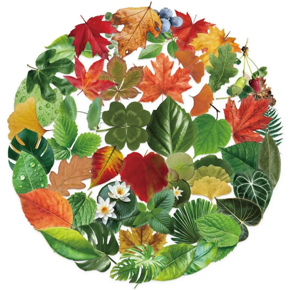 50 SZTUK Przezroczystych Naklejek w Stylu INS z Liśćmi - Wodoodporne PET do Scrapbookingu, Dekoracji Gitary i Notatnika RecordingYourLife Store