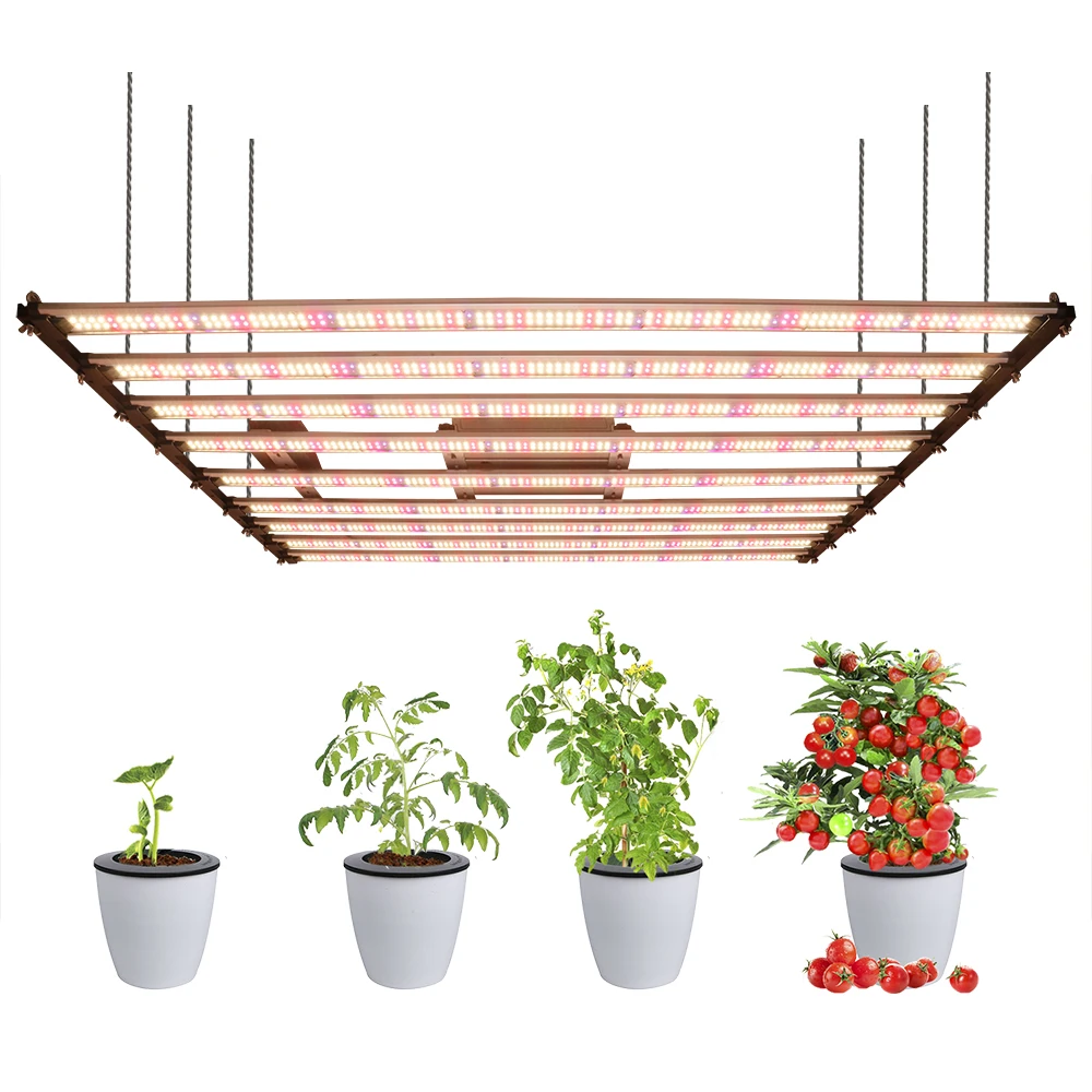 

240W650W 1000W Samsung LM301H EVO MeanWell LED Grow Light Bar Timmer UV IR On/Off For Indoor Flower Tent Plant Growth Phyto Lamp