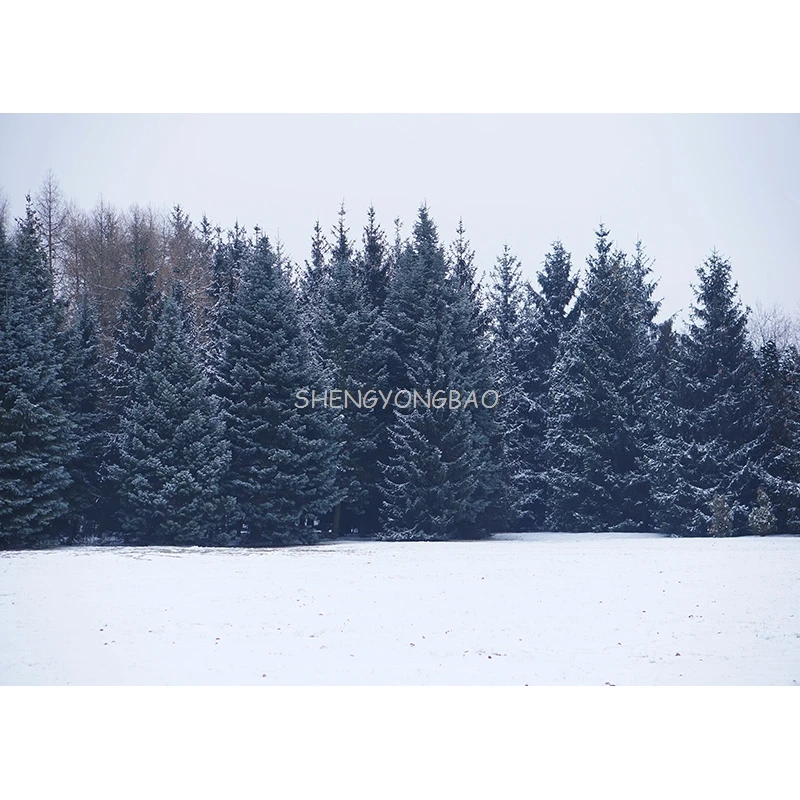 Fondo de fotografía de paisaje Natural de invierno bosque paisaje nevado viajes foto telones de fondo accesorios de estudio 21101 XJS-02