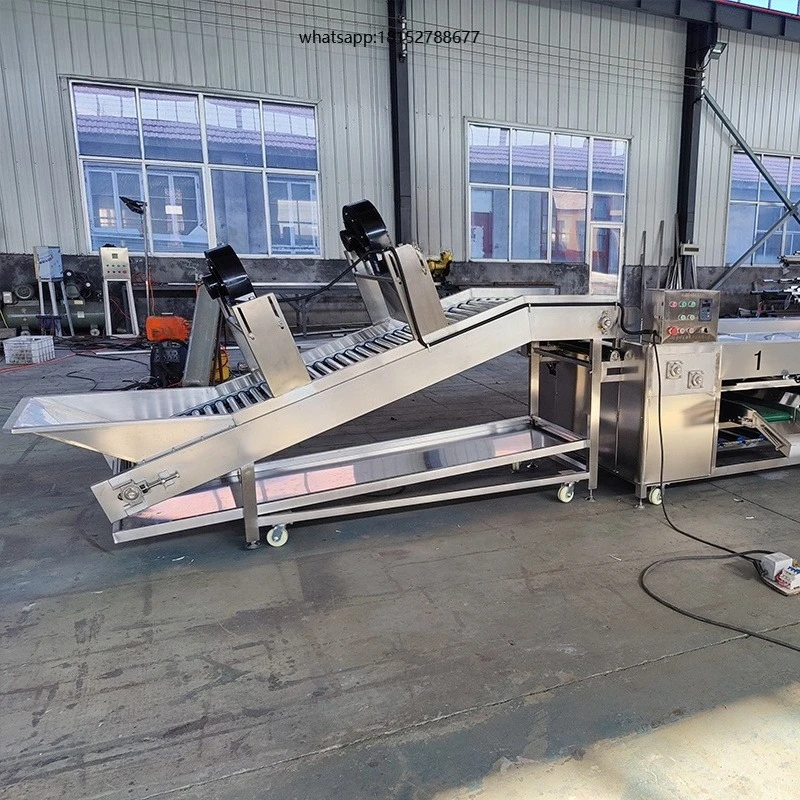 Workshop Automatic Sorting Equipment Fruit and Vegetable Sorting Machine