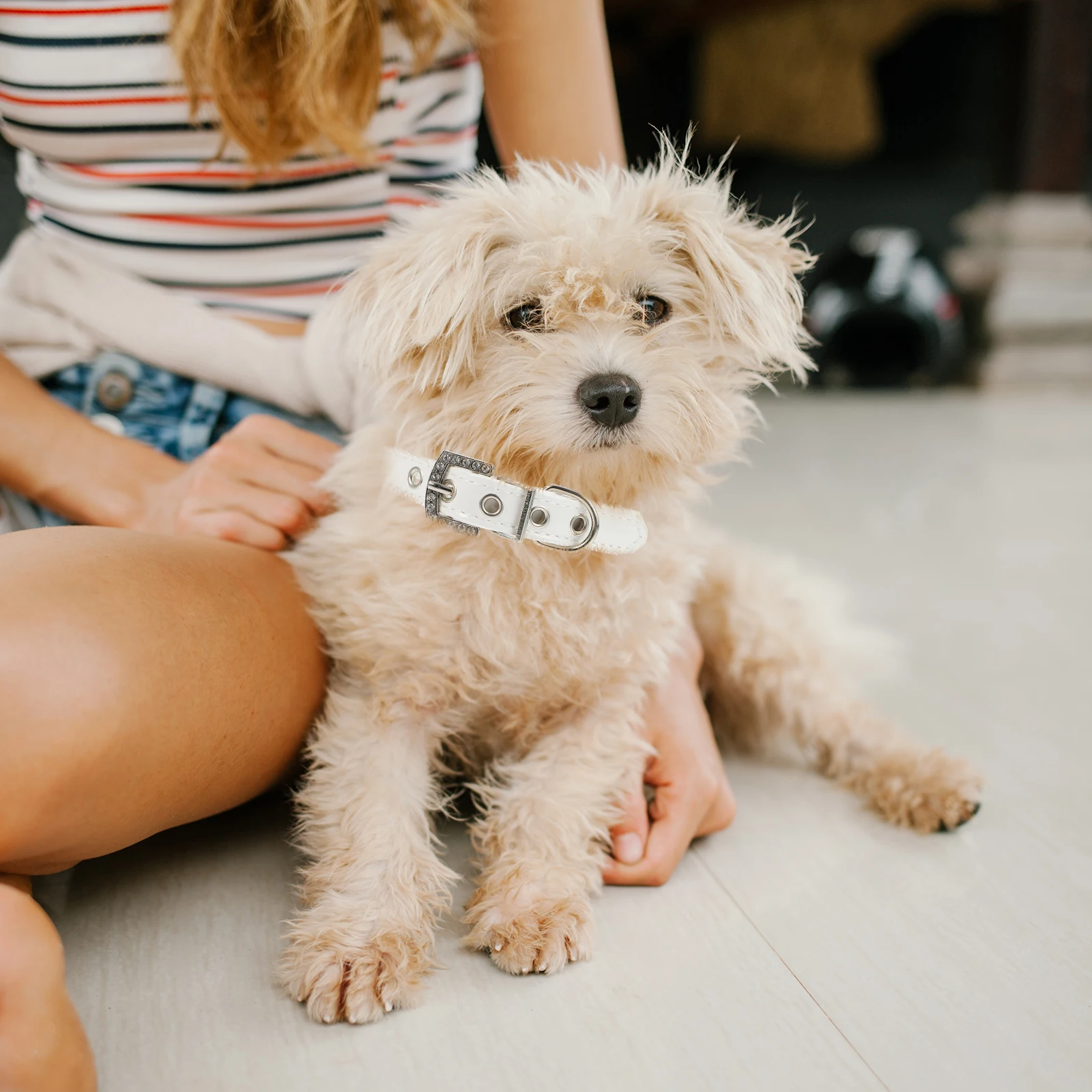 

2pcs Dog Pearls Collar Leash Set Adjustable Puppy Safety Neckwear For Outdoor Training Daily Wear Wedding Christmas Birthdays