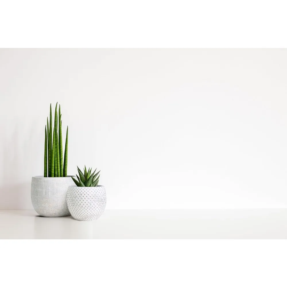 

Cream Gold Ceramic Plant Pot Set 2 Sizes Indoor Outdoor Flower Pots Modern Home Decor Garden Planter