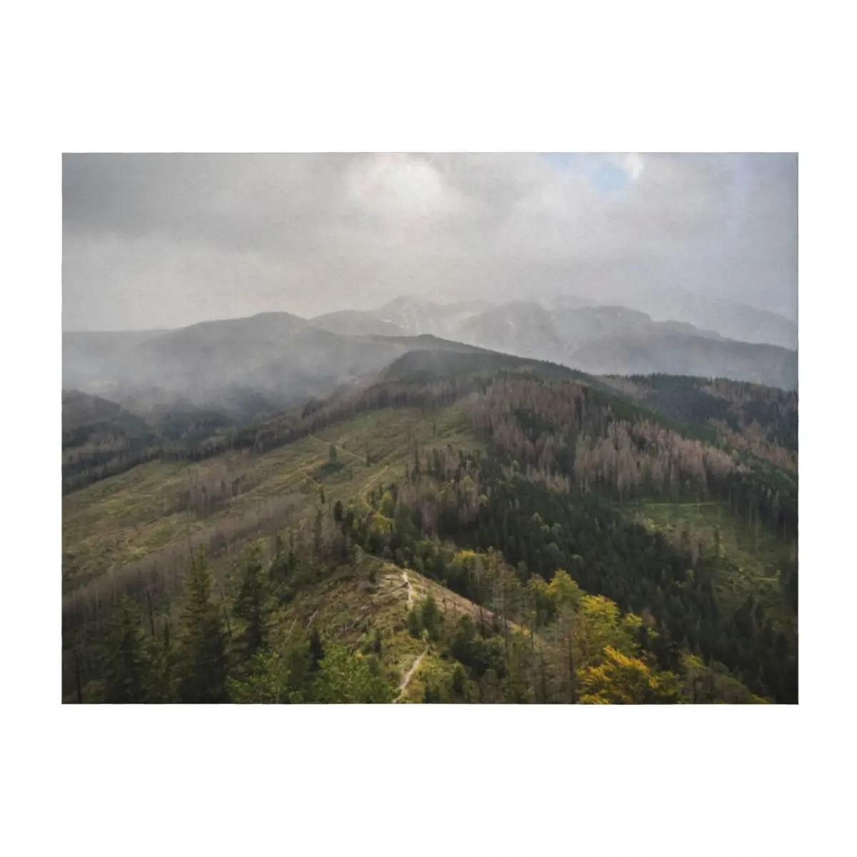 

The green mountains Throw Blanket Luxury Throw Shaggy Luxury Brand Cute Plaid Blankets