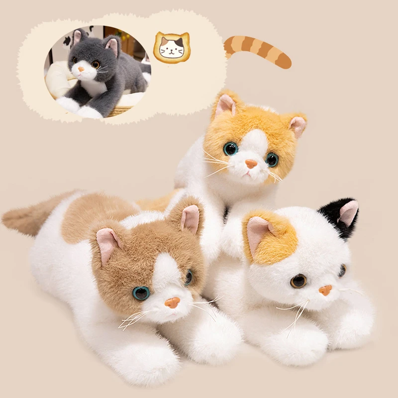 40/50cm britânico shorthair ragdoll gato plushies boneca macia realista animal de estimação chita gato adorável presente de aniversário para menina menino