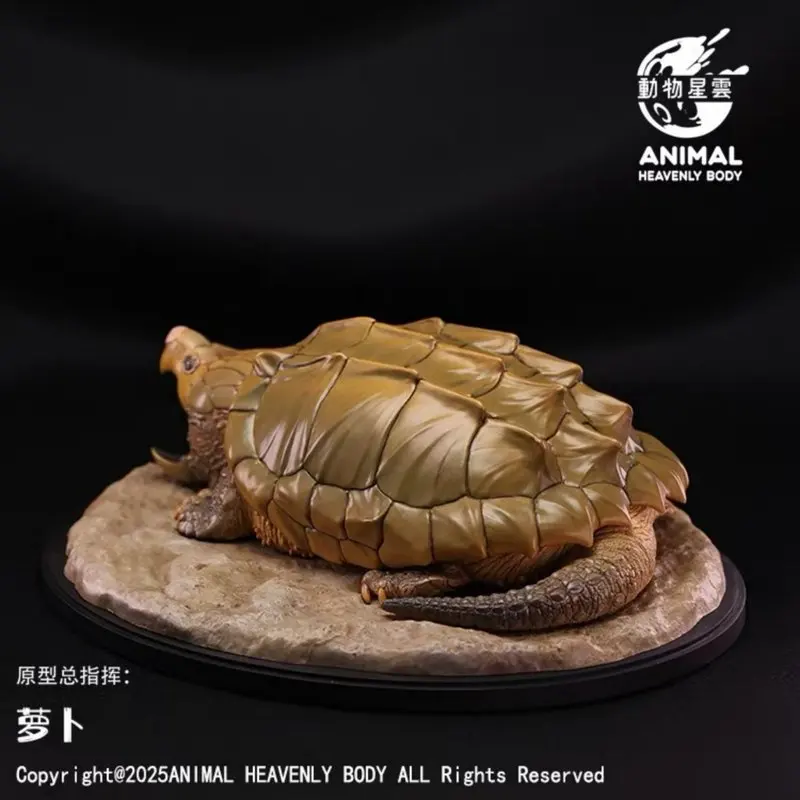 ANIMAL HEAVENLY BODY - Figura Realista de Cocodrilo y Tortuga, Modelo de Escena, Serie de Adornos, 1.ª Estatua de Animal, Regalo Festivo