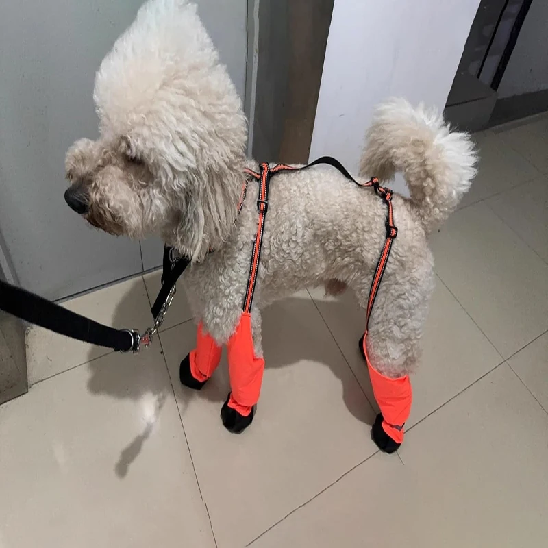 

Adjustable Dog Harness Boots Waterproof Paw Protection Non-Slip for Small Medium Large Dogs Outdoor Enthusiasts Rainy Day Gear