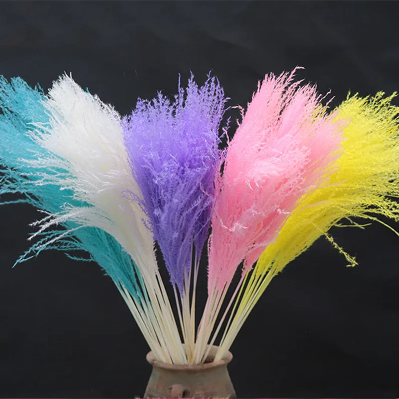 

10Pcs /Lot Pampas Grass Natural Dried Flower For Wedding Office Pampas Grass Decor Home Decoration TrawaPampasowa