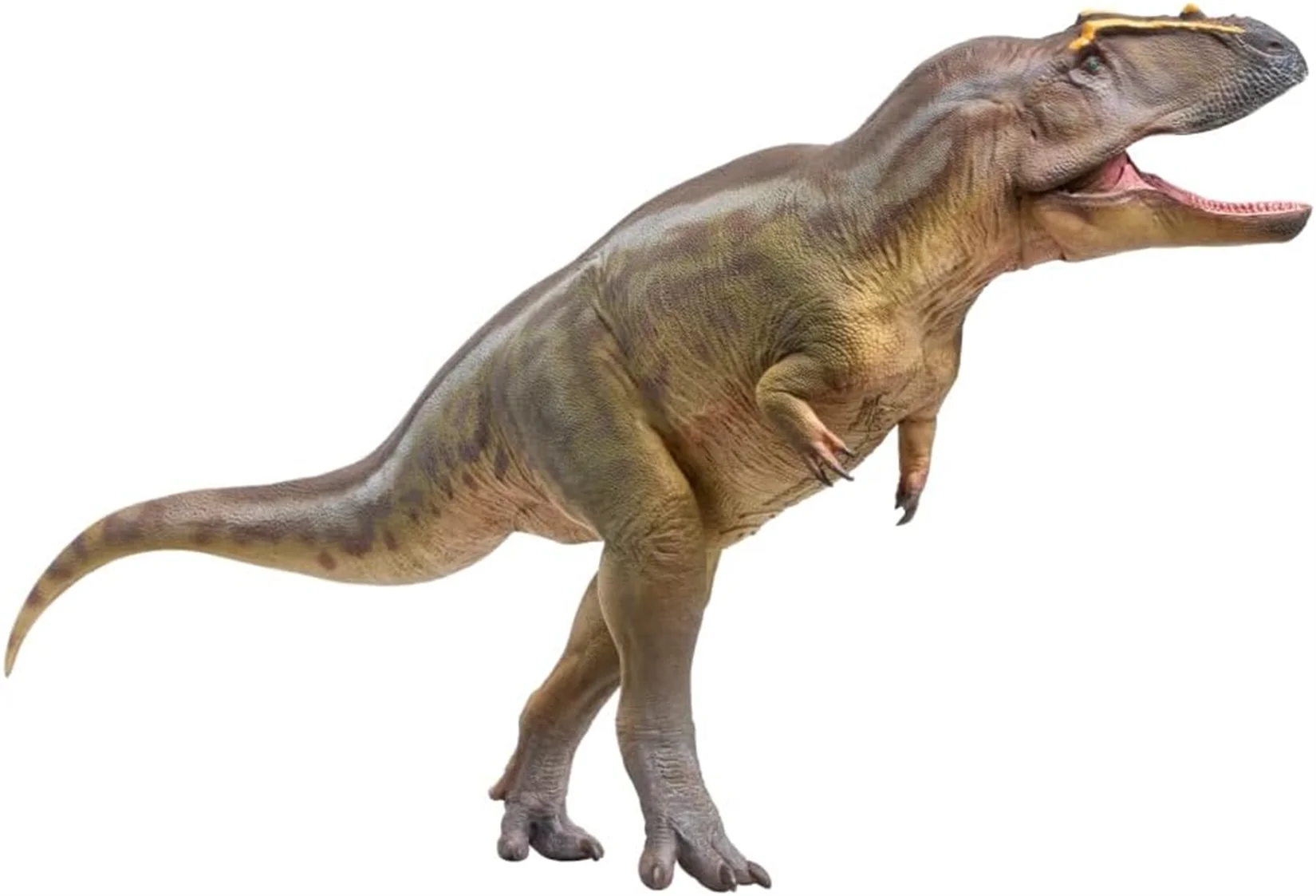 PNSO Tameryraptor 95 modelo adulto Animal prehistórico dinosaurio coleccionista figura arte científico decoración niños juguetes educativos regalo