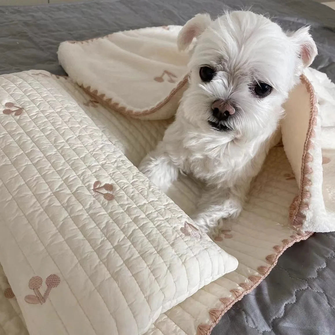 3Pcs /Set Dog Bed Set with Pillow Mattress Comforter Removable Washable Cat Nest Soft Comfortable Pet Supplies Dog Accessories