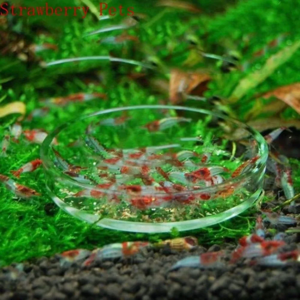 New Glass Aquarium Feeding Bowl Transparent Durable Fish Tank Feeder Clear Round Tray Fish Tank Food Dispenser for Fish Shrimp