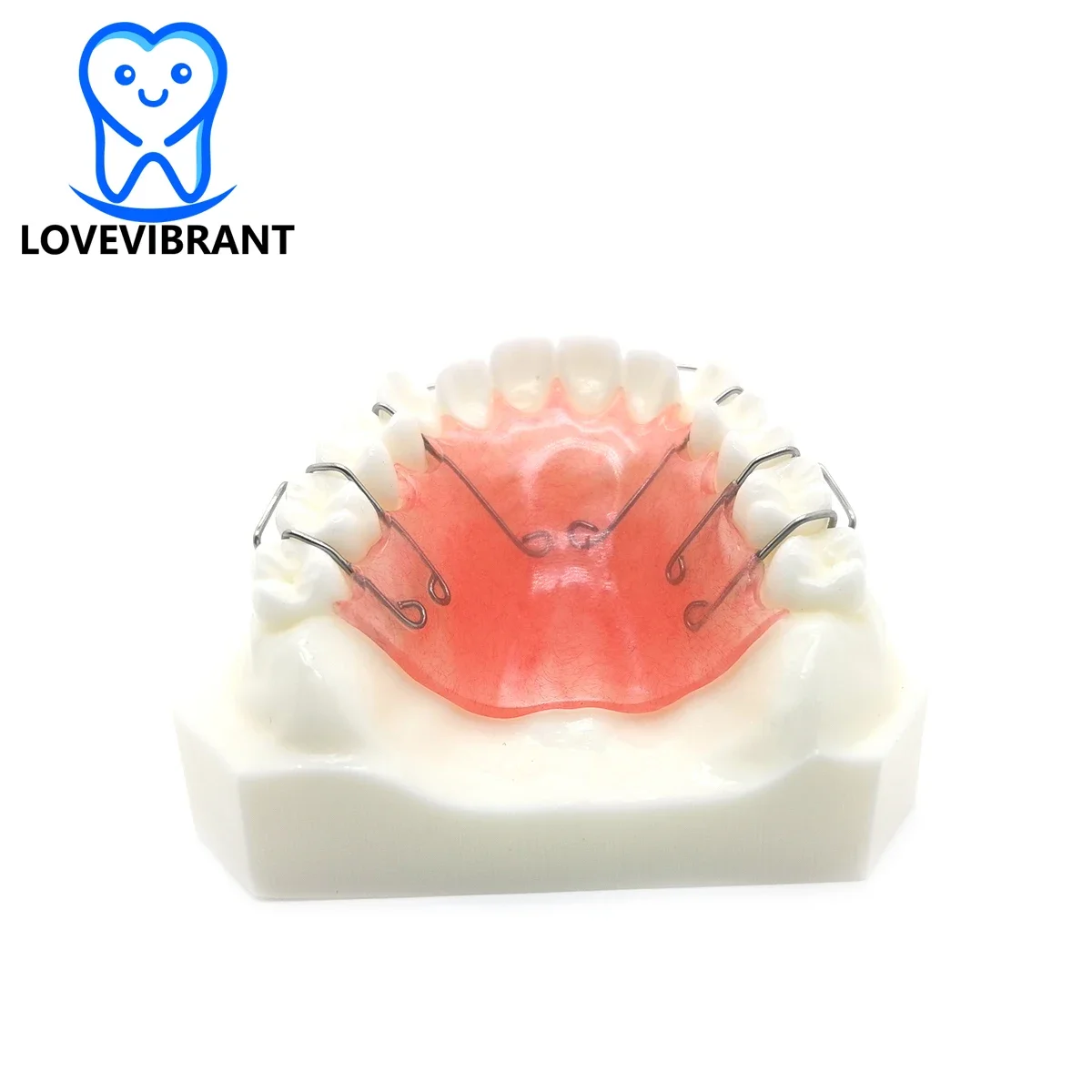 

Dental Teaching Model Detachable Maxillary Orthodontics Treatment Hawley Retainer Studying Tooth Mold Dentistry Traning Tools