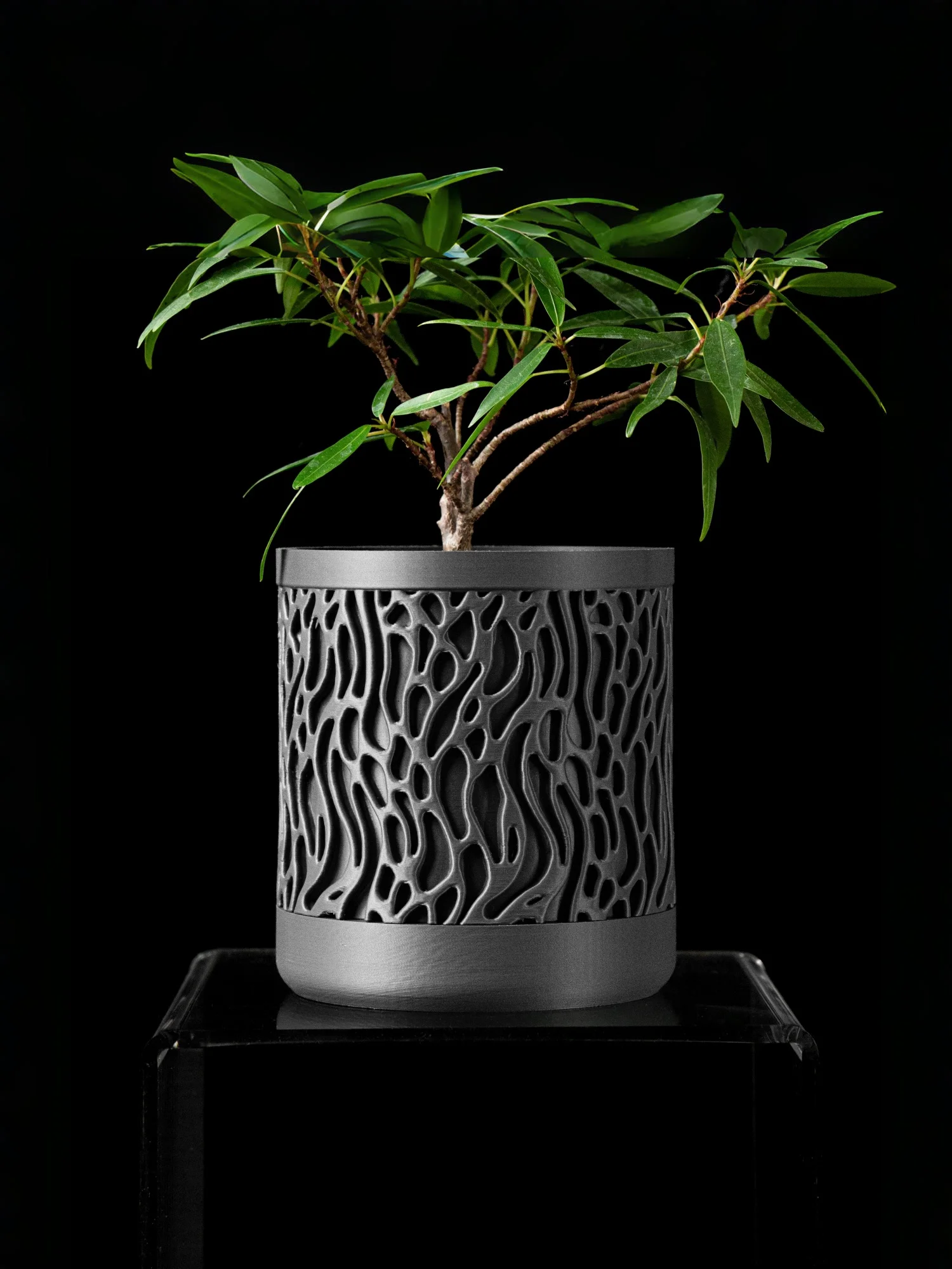 

Modern Minimalist 3D Printed Plant Pot – Biodegradable Flower Planter for Home Decor, Eco-Friendly Sustainable Gift (Grove)