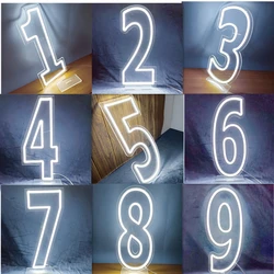 Wholesale Big Size LED Light Number 0-9 Neon Sign for  Birthday Party Wall Mount and Stand Night Light Clear Acrylic Backboard