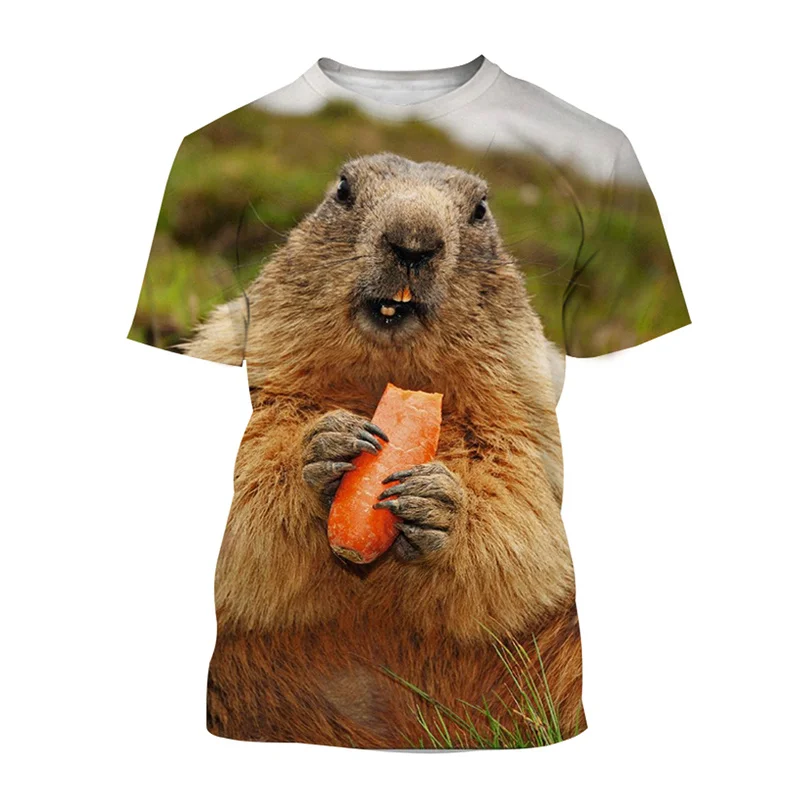 Animal Groundhog 3D Print T-Shirt Streetwear Men Summer Fashion Casual Oversized O-Neck Short Sleeved T Shirt Tees Tops Clothing