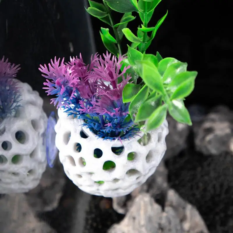 Shrimp Hides For Aq…